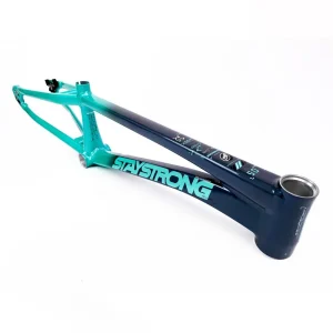 Stay Strong V5 Pro Race Frame Charcoal and Mint - Disc version