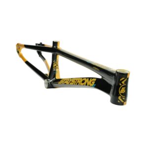 Stay Strong For Life V5.1 2026 Frame - Gold/Black