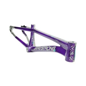 Stay Strong For Life V5.1 2026 Frame - Purple/Silver