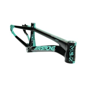 Stay Strong For Life V5.1 2026 Frame - Tiffany/Black
